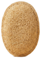 Loofah